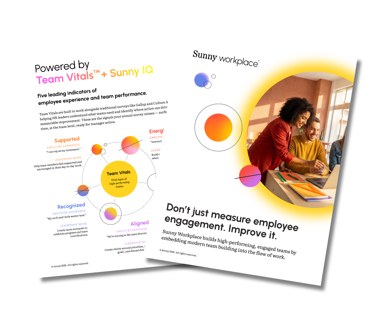 Sunny Workplace Guide